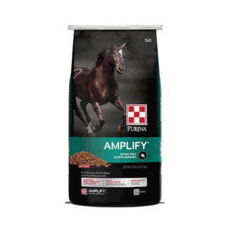 Purina One Size Amplify Equine High-Fat Horse Supplement for Maintenance Breeding & Performance Horses 50 lbs