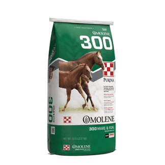 Purina Omolene #300 Mare & Foal Horse Feed | 50 pounds (50 lb) Bag