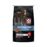 Purina 25 Pound (Pack of 1) | RepleniMash??? Product | for Horse Recovery | 25 Pound (25 LB)