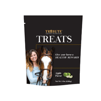 Kalmbach Feeds 48 Fl Oz (Pack of 1) Tribute Treats Cube 3 lb Apple Flavor for Horses bag