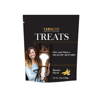 Kalmbach Feeds 3 Pound (Pack of 1) Since 1963 Tribute Treats Cube 3 lb Banana Flavor for Horses Bag