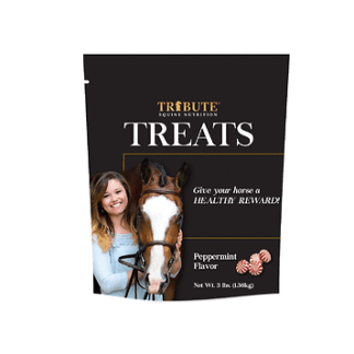 TRIBUTE 3 Pound (Pack of 1) Kalmbach Feeds Tribute Treats Cube 3 lb Peppermint Flavor for Horses bag