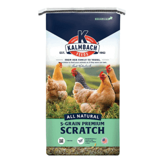 Kalmbach Feeds 50 Pound (Pack of 1) All Natural 5 Grain Premium Scratch Grain Treat for Chickens