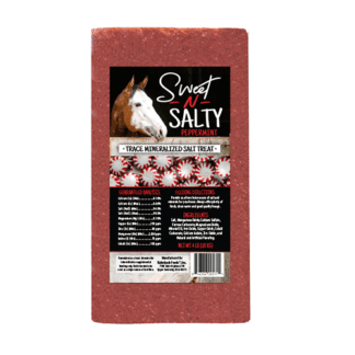 Kalmbach Feeds 4 Pound (Pack of 1) Sweet N Salty Peppermint Flavored Salt Treat Brick for Horses 4 lb