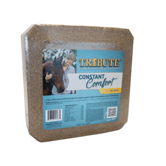 TRIBUTE Constant Comfort Supplement Block to Support Gastric Health in Horses 15 lb