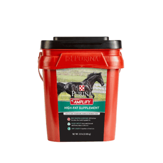 Purina Amplify | High-Fat Horse Supplement | Diet Enrichment Nuggets - 30 Pound (30 LB) Pail